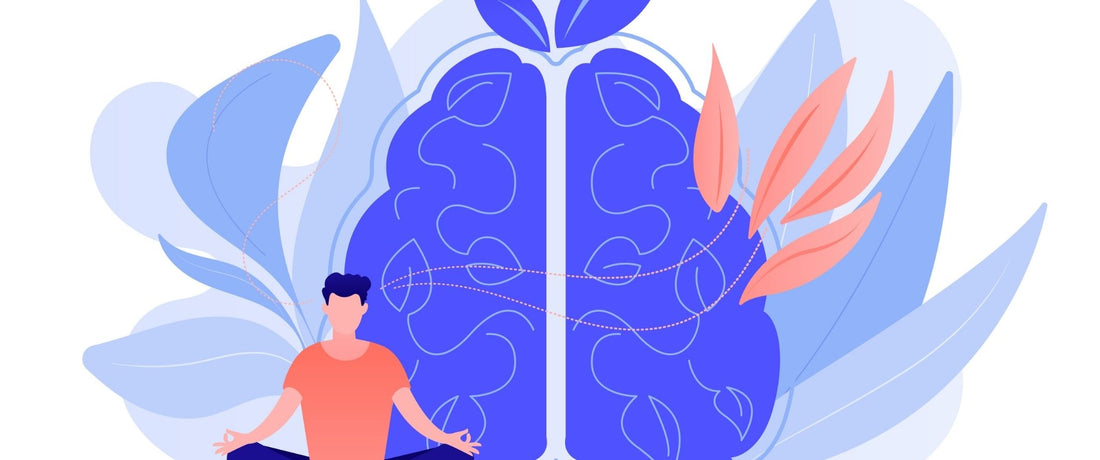 Understanding Mindfulness & How It Affects Your Brain