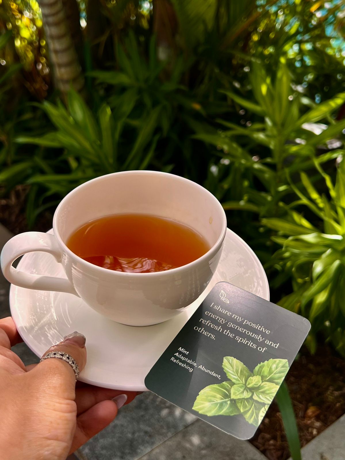 The Forest Whisper's Wellness Box