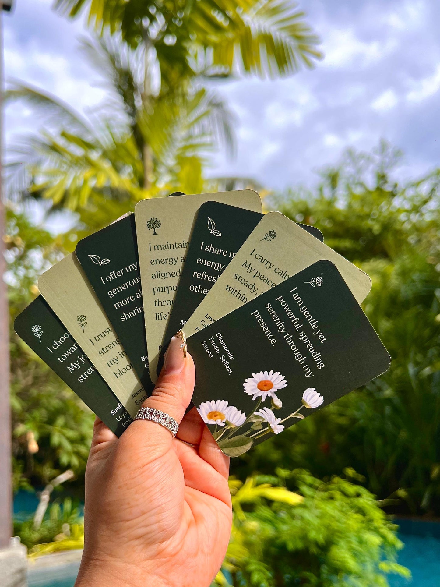 The Forest Whisper's Wellness Box